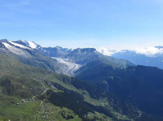 Chaemihitta 나테스